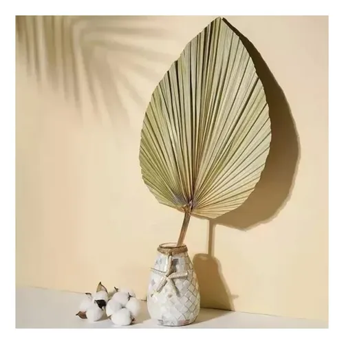 10 Piezas De Hojas De Palma Secas Forma De Corazón Tropical Beige — foto 2