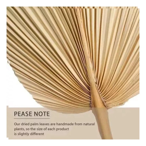 10 Piezas De Hojas De Palma Secas Forma De Corazón Tropical Beige — foto 3