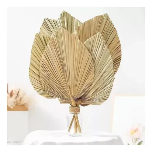10 Piezas De Hojas De Palma Secas Forma De Corazón Tropical Beige — foto 5