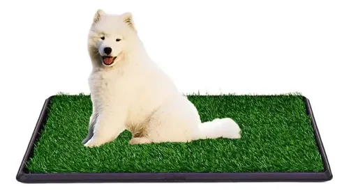 Baño Sanitario Ecológico Para Perros Y Mascotas Xxl Verde — foto 3