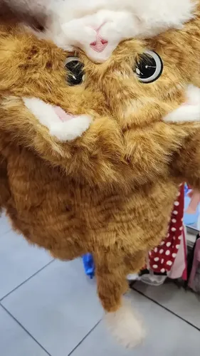 Chaqueta Abrigo Peludito De Animales Con Capucha Para Niños Gato Mandarin Standar — foto 3