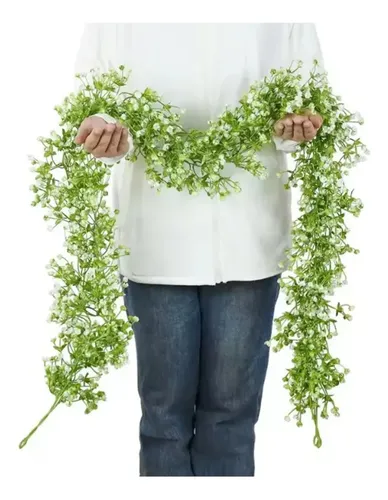 Enredaderas Ilusiones Gypsophila Paniculata 180mt Aliento Bb Blanco