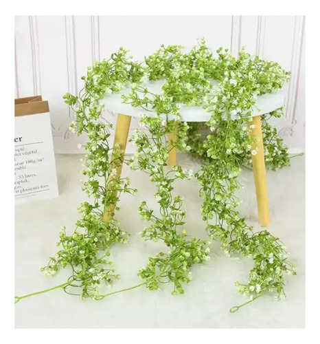 Enredaderas Ilusiones Gypsophila Paniculata 180mt Aliento Bb Morado — foto 3