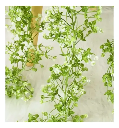 Enredaderas Ilusiones Gypsophila Paniculata 180mt Aliento Bb Blanco — foto 2