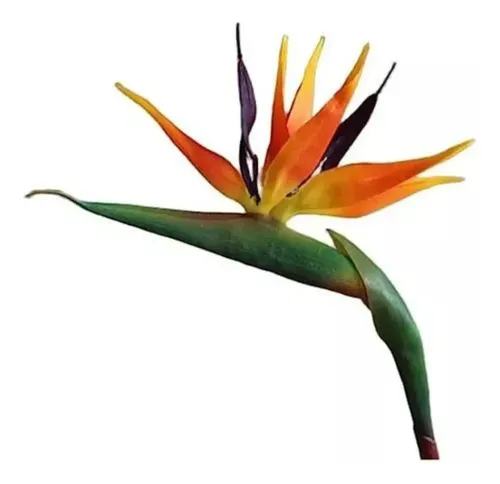 Flor De Ave Del Paraíso Artificial Flor De Pájaro Ave Unidad Varios
