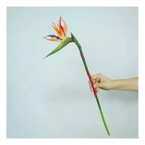 Flor De Ave Del Paraíso Artificial Flor De Pájaro Ave Unidad Varios — foto 2