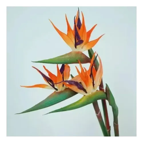 Flor De Ave Del Paraíso Artificial Flor De Pájaro Ave Unidad Varios — foto 4