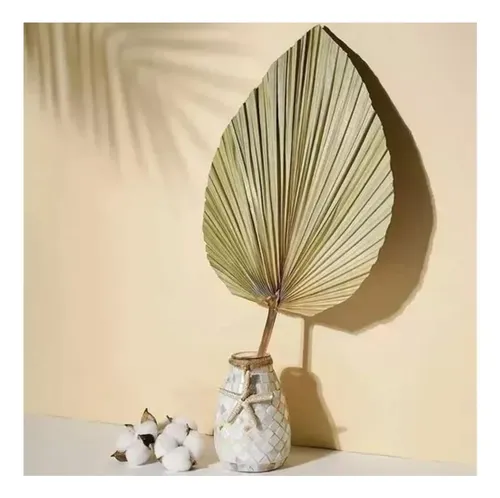 Hoja De Palma Seca Forma De Corazón Tropical Natural Deco Beige — foto 2