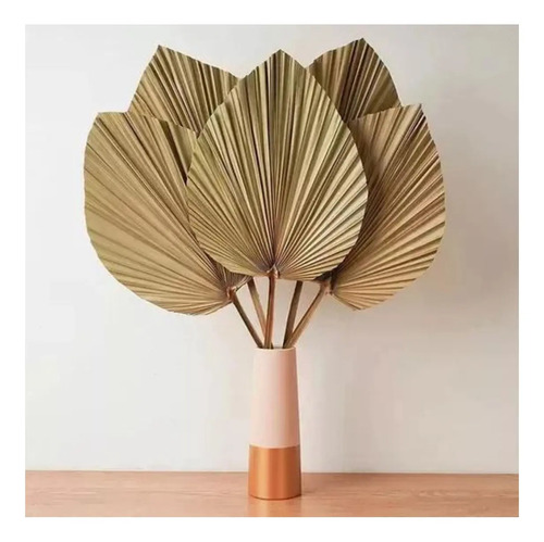 Hoja De Palma Seca Forma De Corazón Tropical Natural Deco Beige — foto 4
