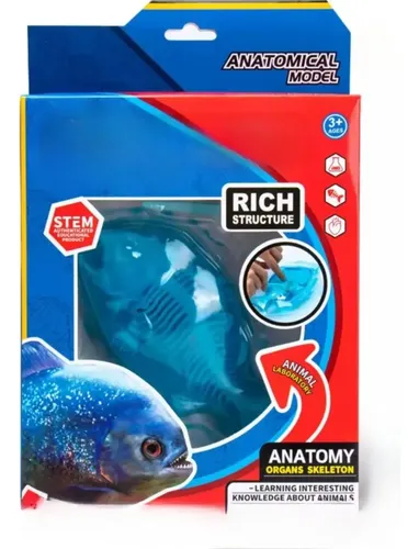 Juego De Pez Educativo Kit De Ciencias Para Niños