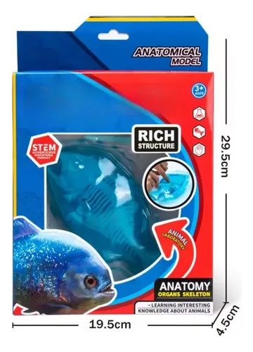 Juego De Pez Educativo Kit De Ciencias Para Niños — foto 3