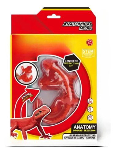 Juego De Salamandra Educativo Kit De Ciencias Para Niños