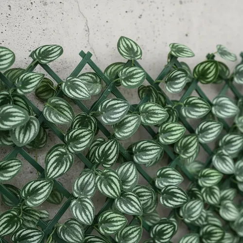 Malla Expandible Trilach Hojas Peperomia Artificial 2mx70cm Verde — foto 5
