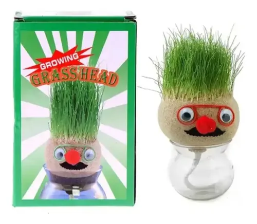 Muñeco Pelo De Pasto Juguete Educativo Cesped Oficina