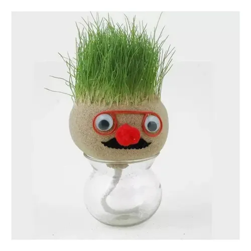 Muñeco Pelo De Pasto Juguete Educativo Cesped Oficina — foto 2