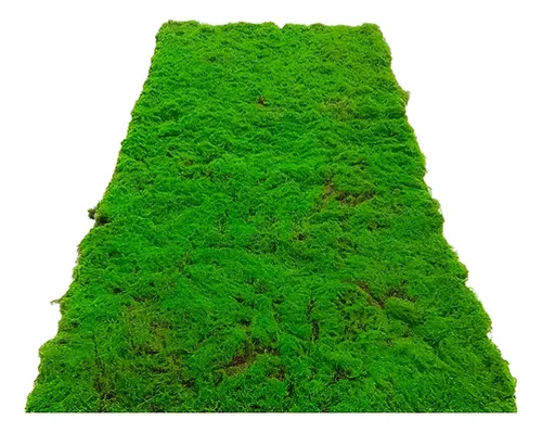Musgo Artificial De Pasto Sintético 1 X 1mts