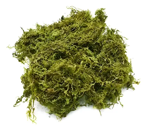 Musgo Artificial Para Decoraciones