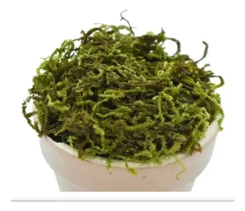 Musgo Artificial Para Decoraciones — foto 3
