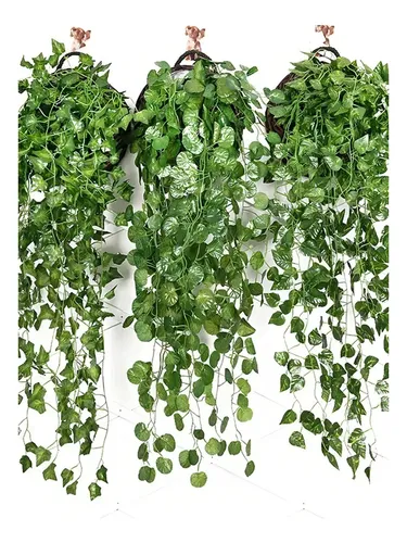 Pack 3 Enredadera Artificial Colgante Ramo Verde Verde