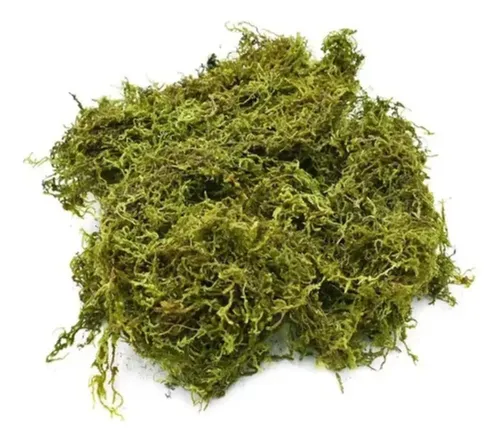 Pack 5 Musgo Artesanal Falso Musgo Verde, Artificial Plantas — foto 2