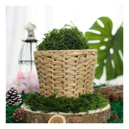 Pack 5 Musgo Artesanal Falso Musgo Verde, Artificial Plantas — foto 4