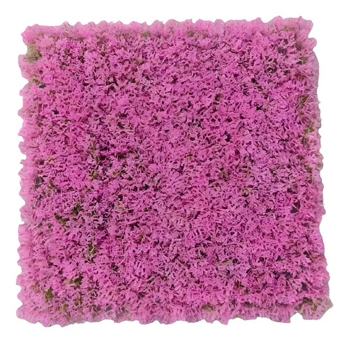 Palmeta Artificial 50x50 Cm Panel Decorativa Rosa