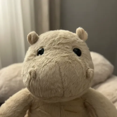 Peluche Hipopótamo León  Gato Suave Felpa Beige Para Niños Hipopótamo — foto 3