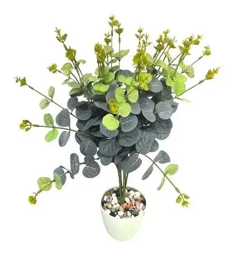 Piedras Decorativas Para Planta Jardín Hogar Variedades — foto 7