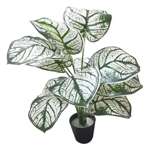 Planta Artificial Decorativa Aristada Blanca De 35cm Blanco