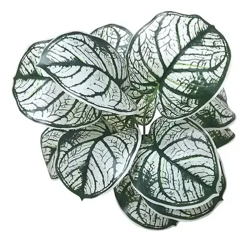 Planta Artificial Decorativa Aristada Blanca De 35cm Blanco — foto 2
