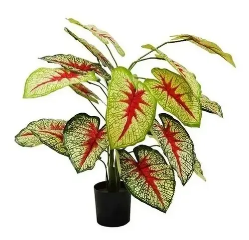 Planta Artificial Decorativa Caladium Amarillas 50cm Hogar — foto 3