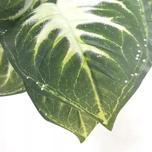 Planta Artificial Decorativa Caladium Verde-blanco De 50cm Verde — foto 3