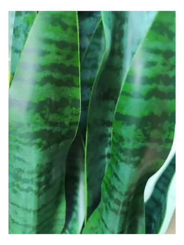 Planta Artificial Lengua De Suegra Sansevieria Trifasciata Verde — foto 2