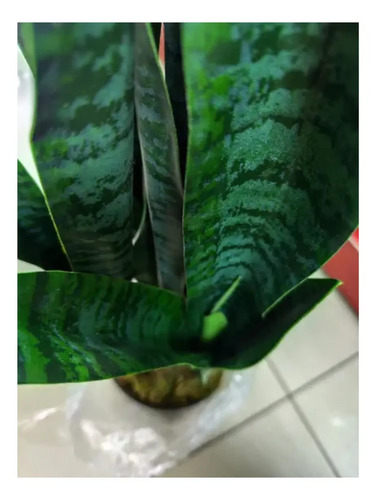 Planta Artificial Lengua De Suegra Sansevieria Trifasciata Verde — foto 3