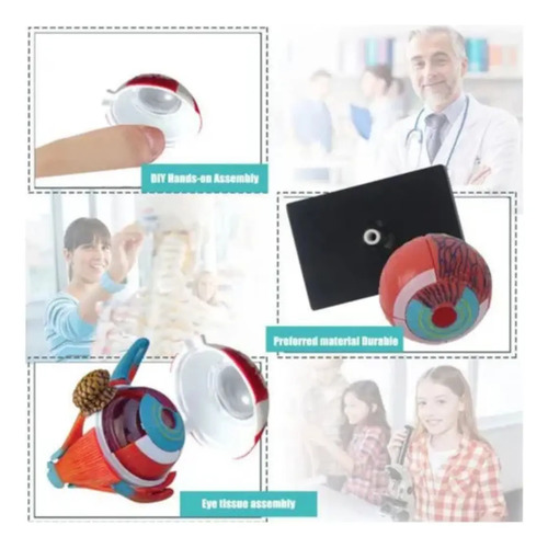Rompecabeza Puzzle Ojo 4d Didáctico Educativo Niños — foto 4