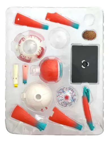 Rompecabeza Puzzle Ojo 4d Didáctico Educativo Niños — foto 5