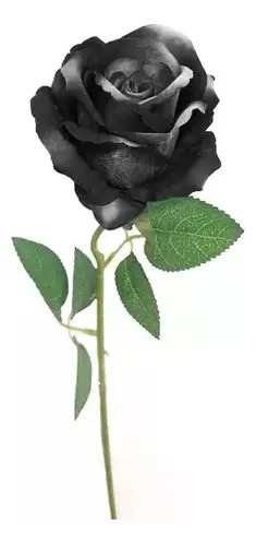 Rosas Artificiales Realistas Set 5 Varas Individuales Negras Negro